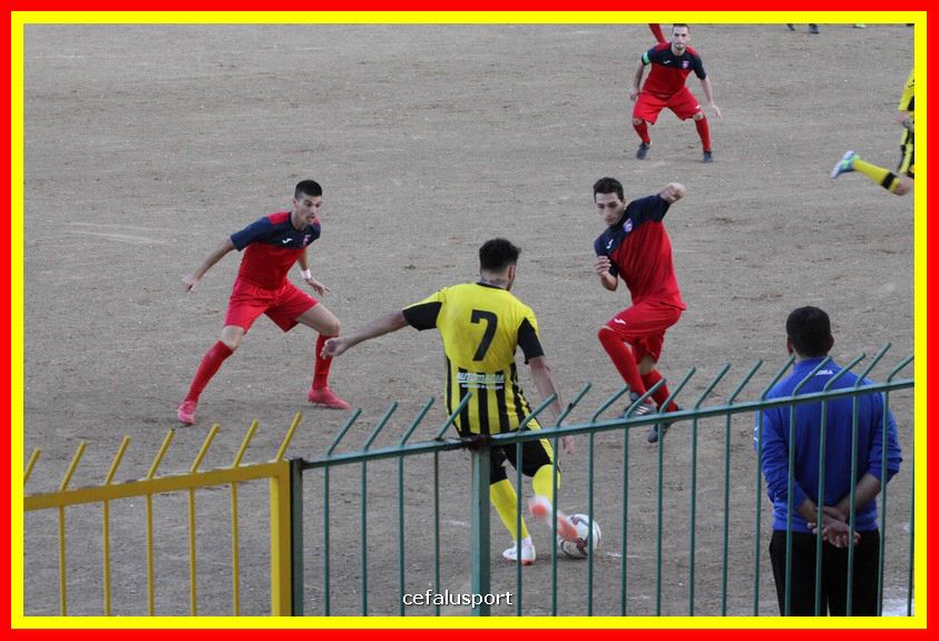 181111 Cepha_Milazzo 214_tn.JPG